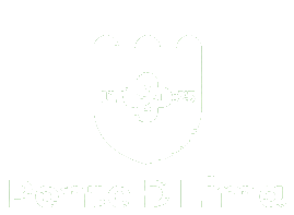 Munic&iacute;pio de Ponte de Lima